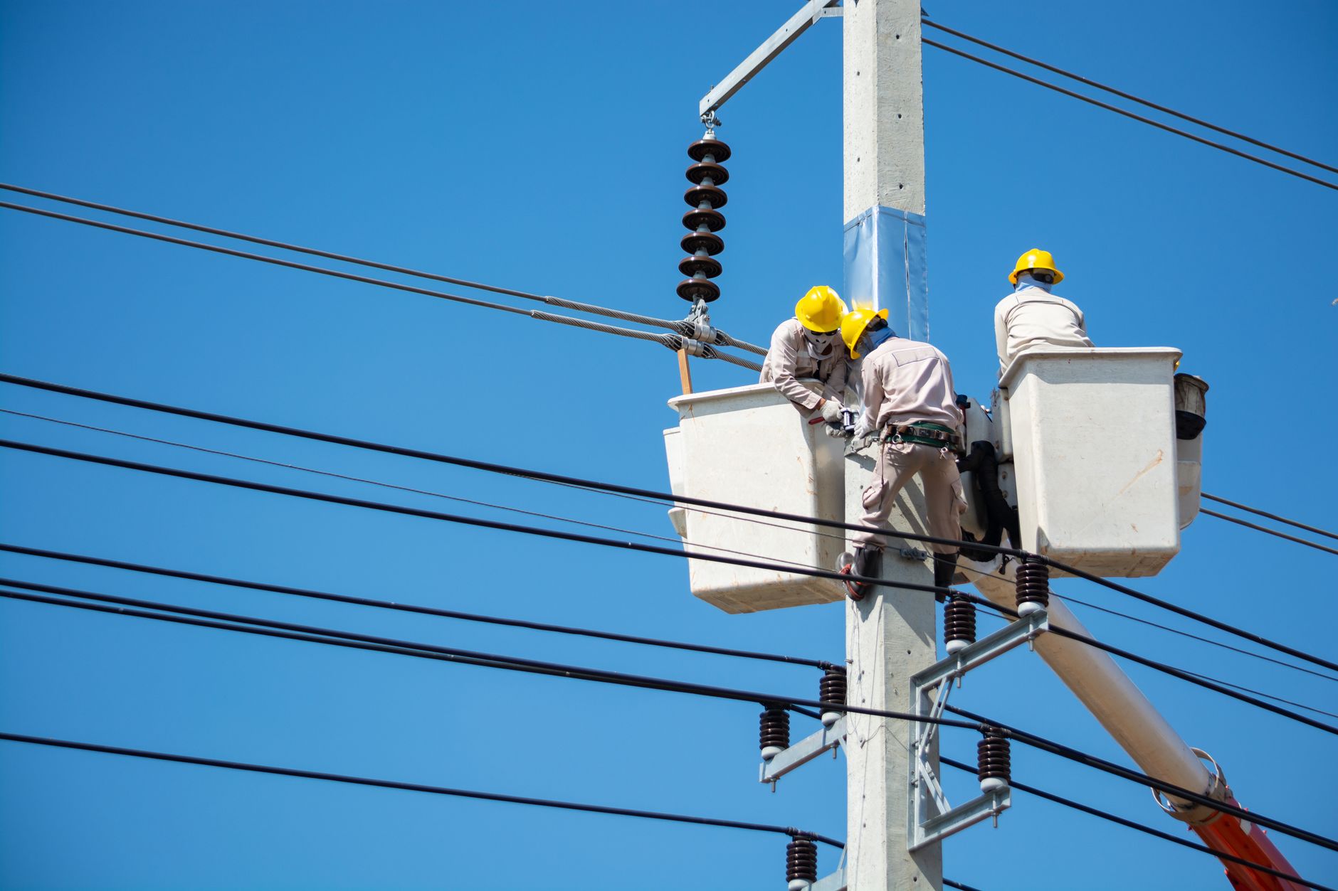 Electrical Marketing Agency