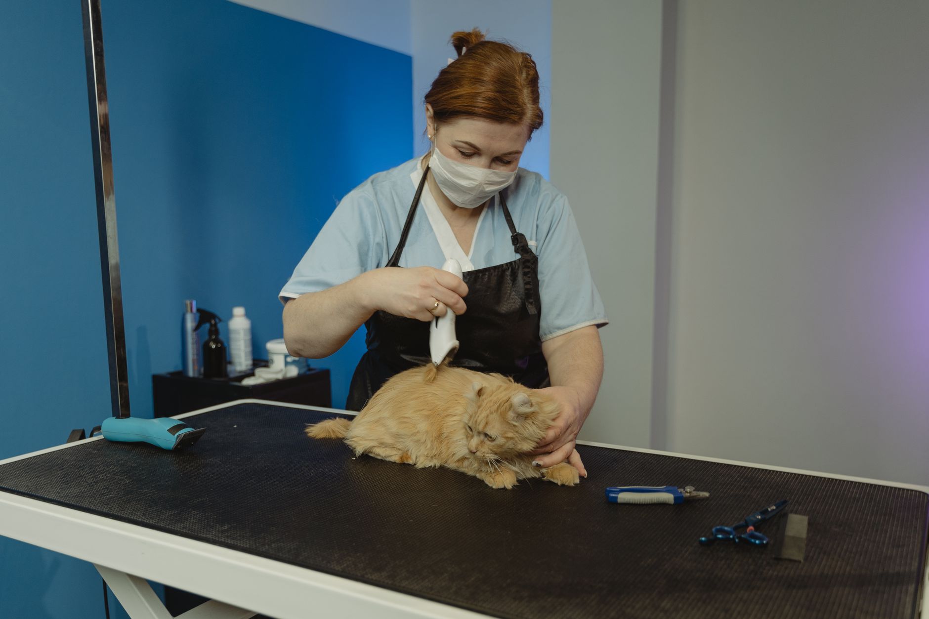Lead Generation for Veterinarians